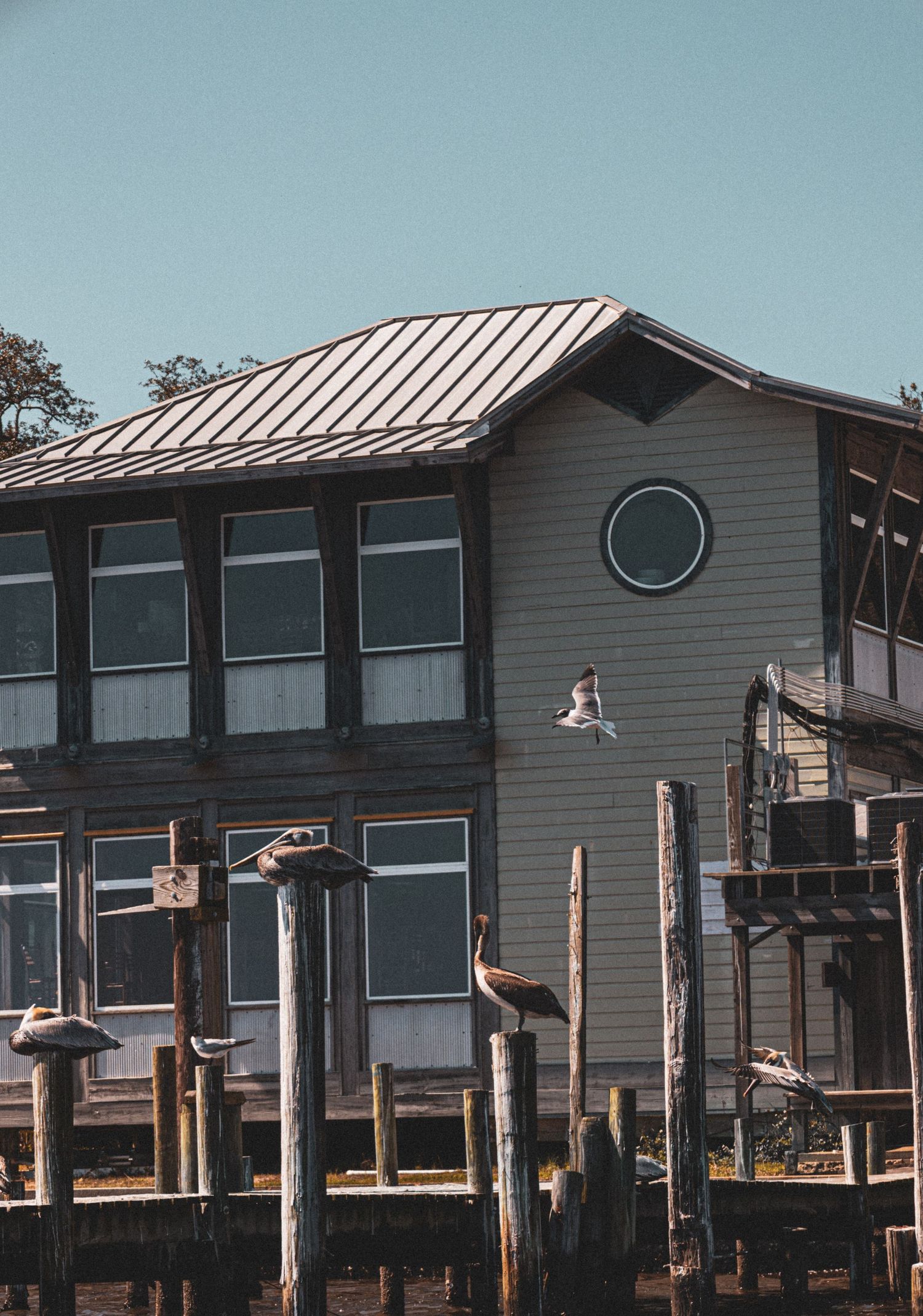 Modern gray beach houses with metal roofs and large windows line up along the waterfront.