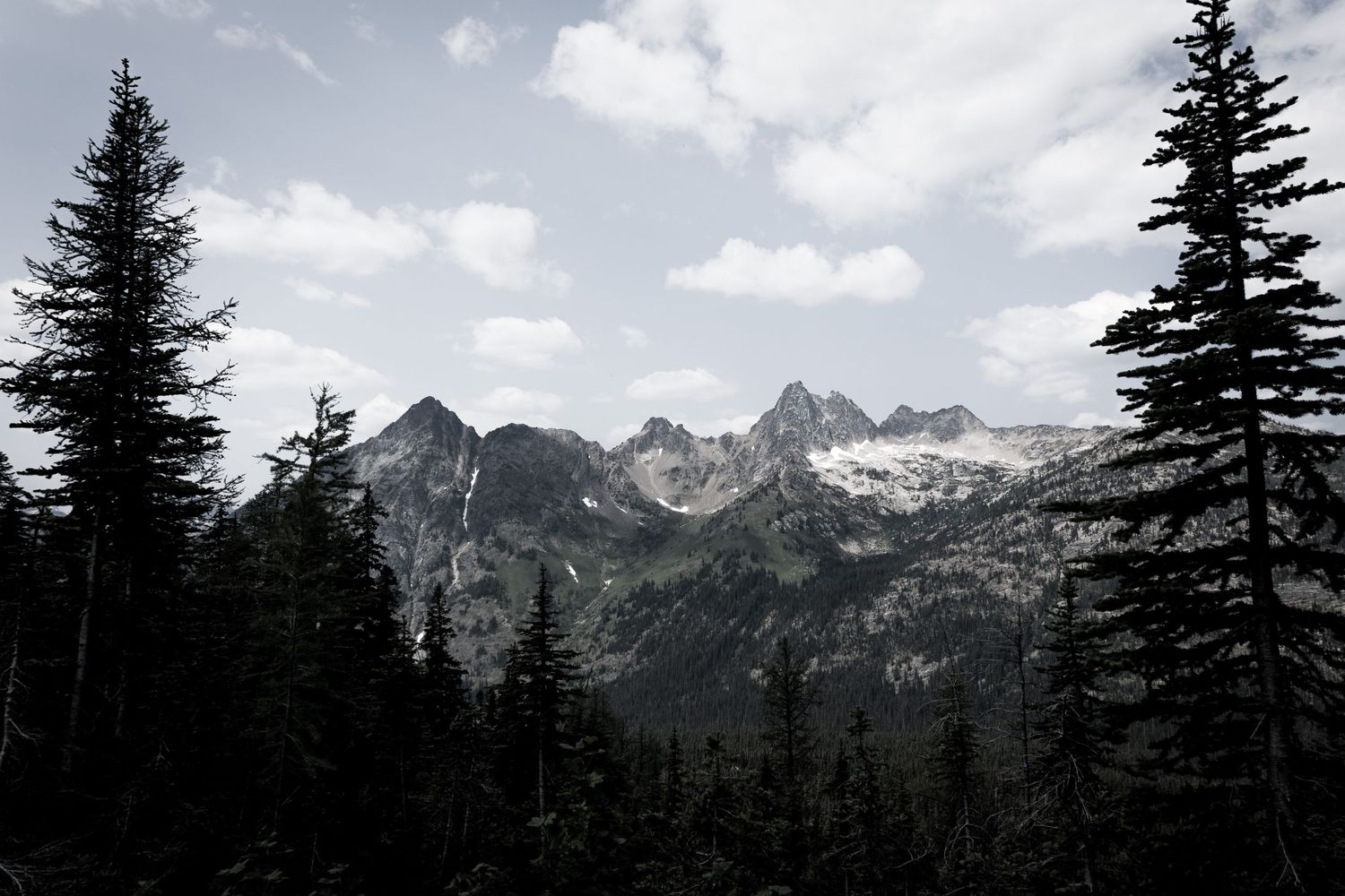 Mountain range panorama with evergreen trees in foreground.