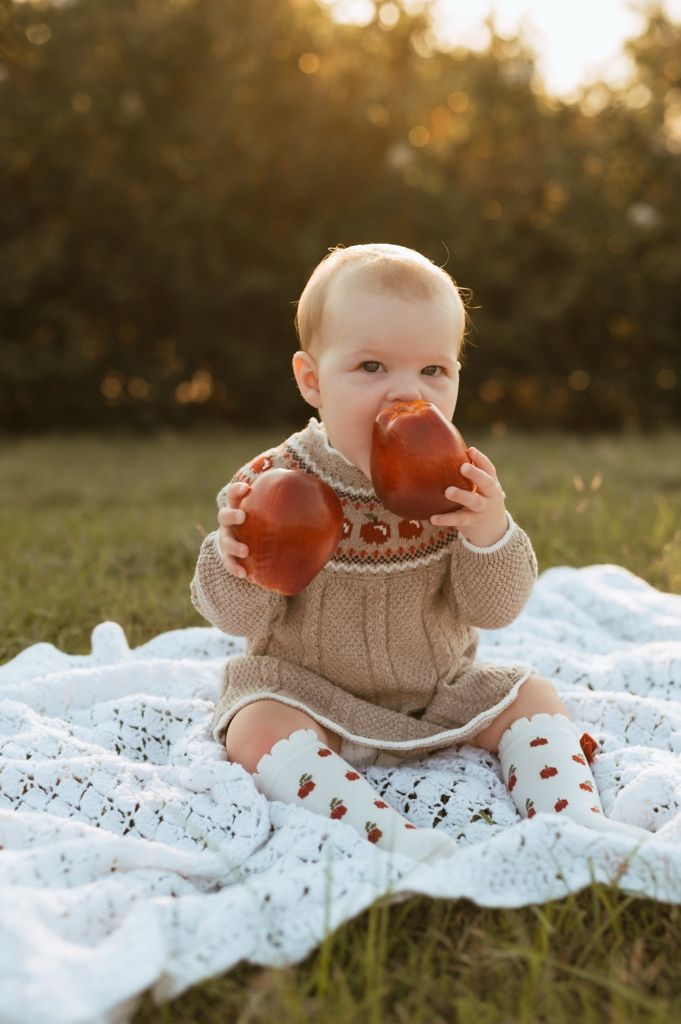 Baby holds red apples while sitting on white lace blanket in autumn garden setting.