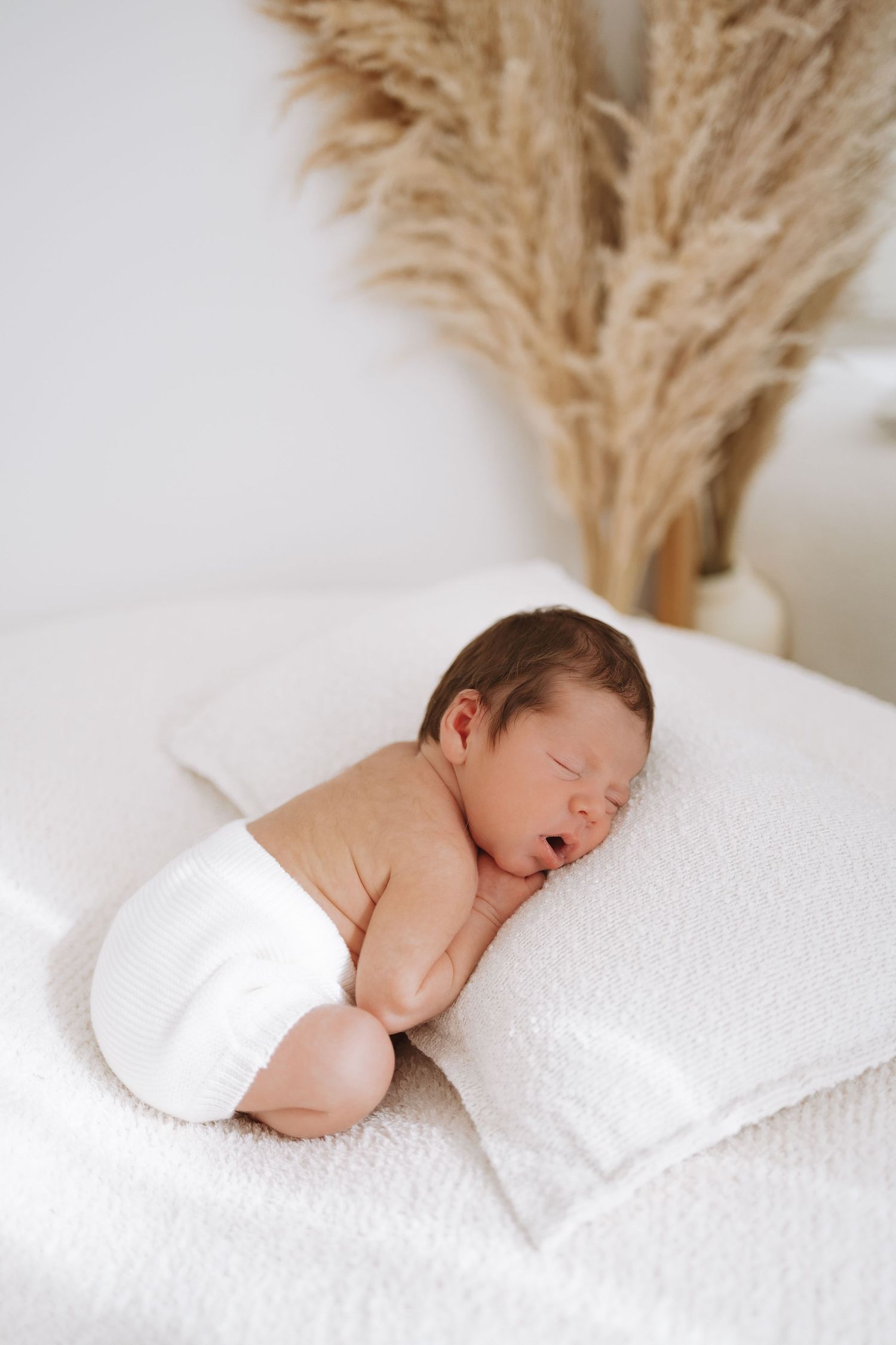 Adorable sleeping newborn baby peacefully resting on soft white bedding with pampas grass decoration above.