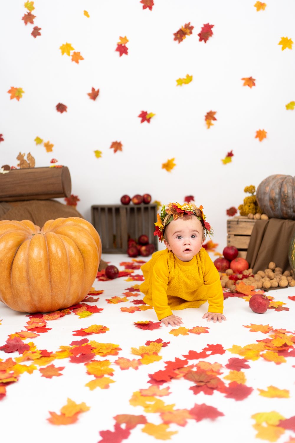 fotografie-autunno-halloween-cosenza