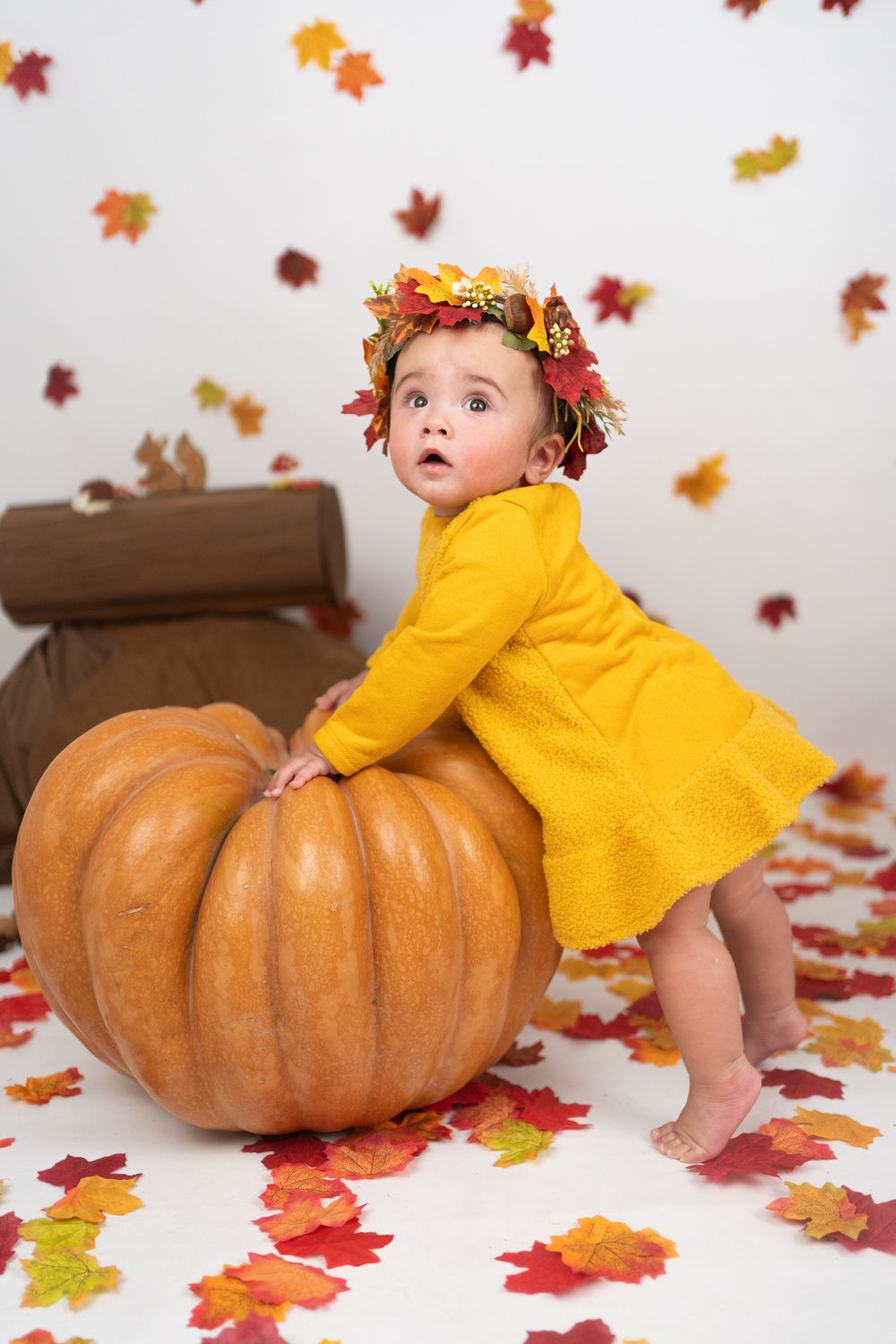 fotografie-autunno-halloween-cosenza