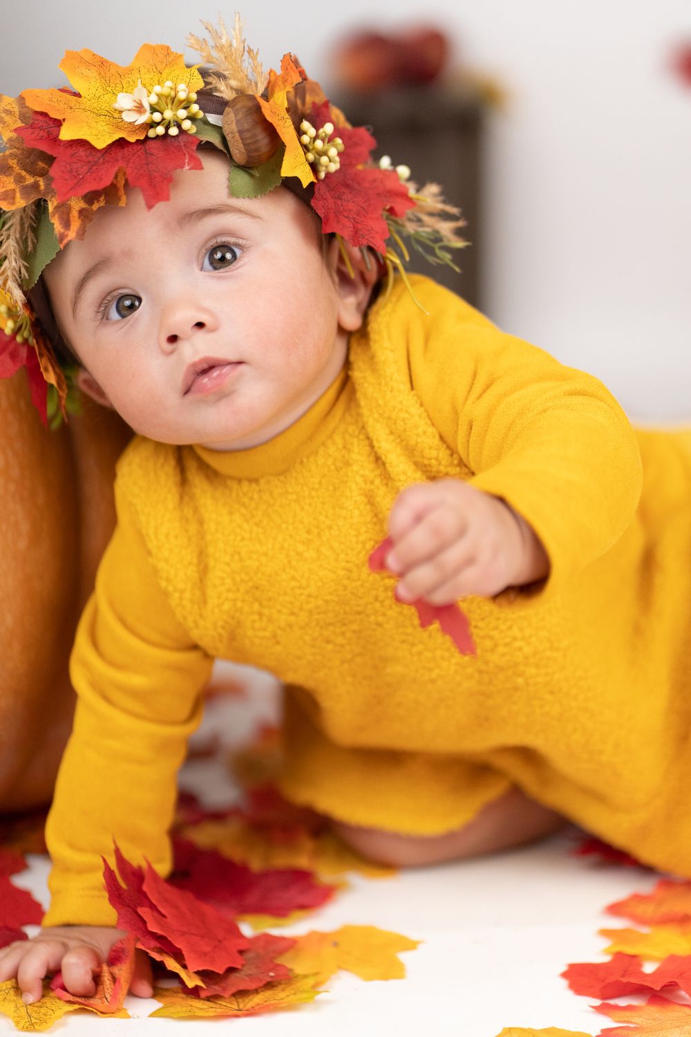 fotografie-autunno-halloween-cosenza
