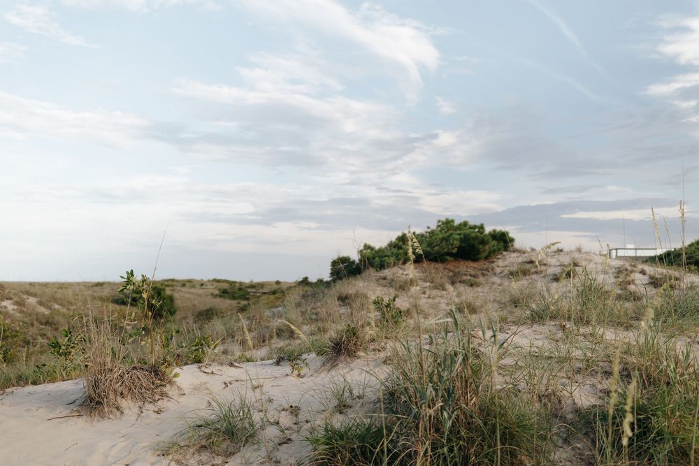 Panoramic view of sand dunes and coastal vegetation under cloudy skies at a beach landscape.
