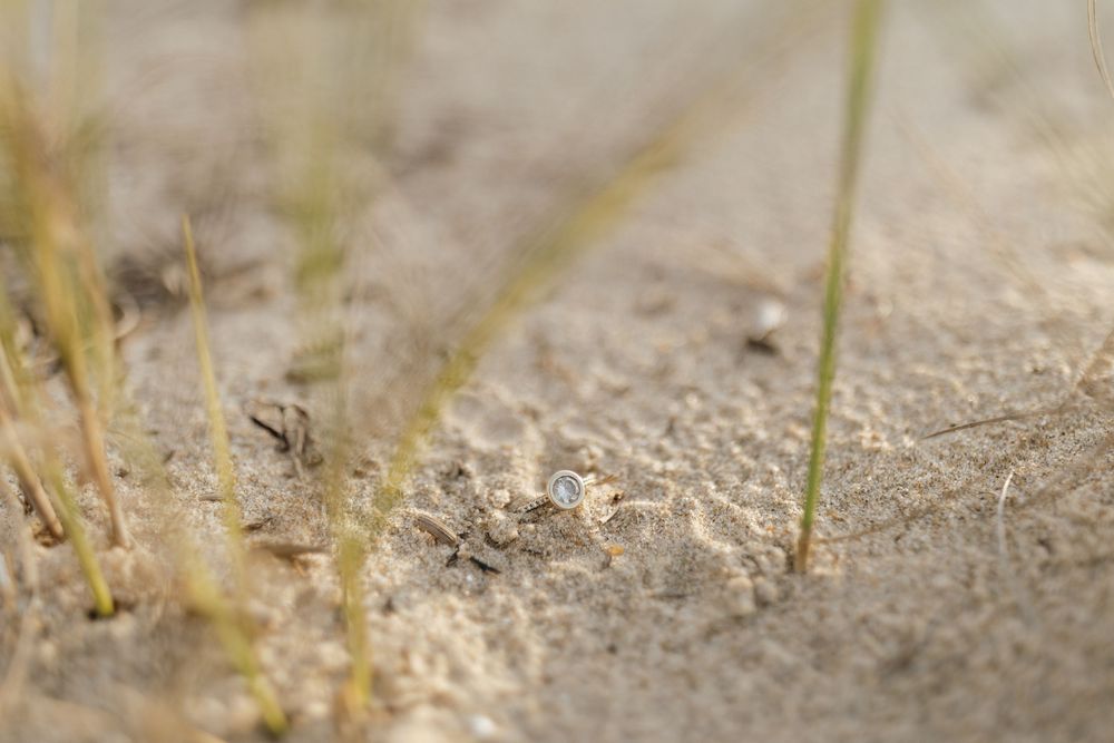 Small green grasshopper perches on a rough beige textured surface with thin grass stems in background.