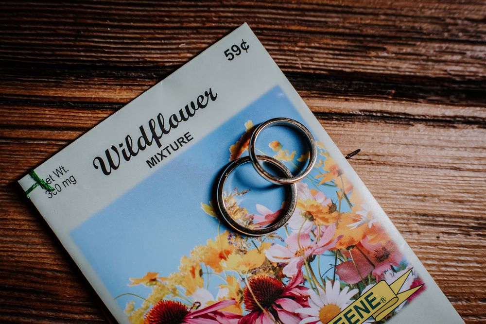 Seed packets featuring flower varieties displayed in a row on rustic wooden surface with colorful floral illustrations.