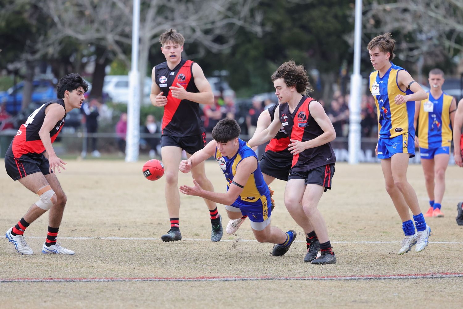 Australian Rules football players contesting for possession during a competitive match on a sunny day.