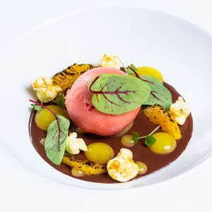 Elegant plated dessert with chocolate sauce, pink macarons, grilled pineapple, and fresh mint leaves on white dishes.