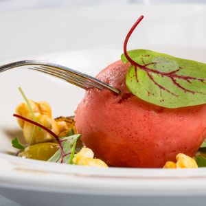Elegant plated dessert with watermelon sorbet, garnished with fresh herbs and colorful accompaniments.
