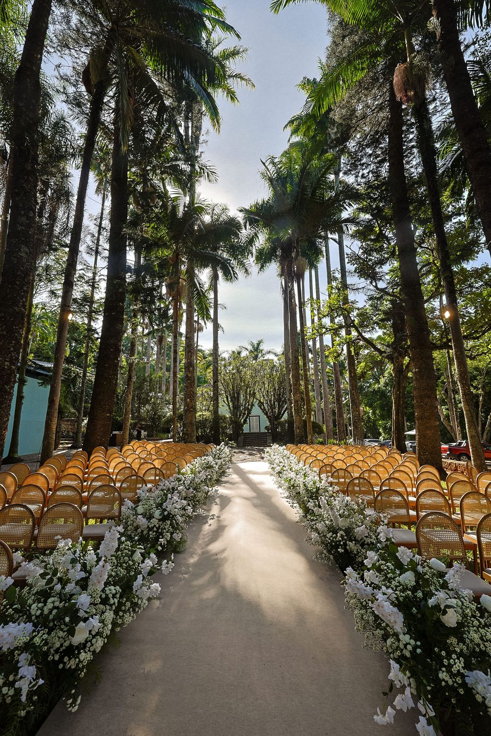 An outdoor wedding ceremony setup with wooden chairs arranged between palm trees and white floral arrangements lining the aisle.