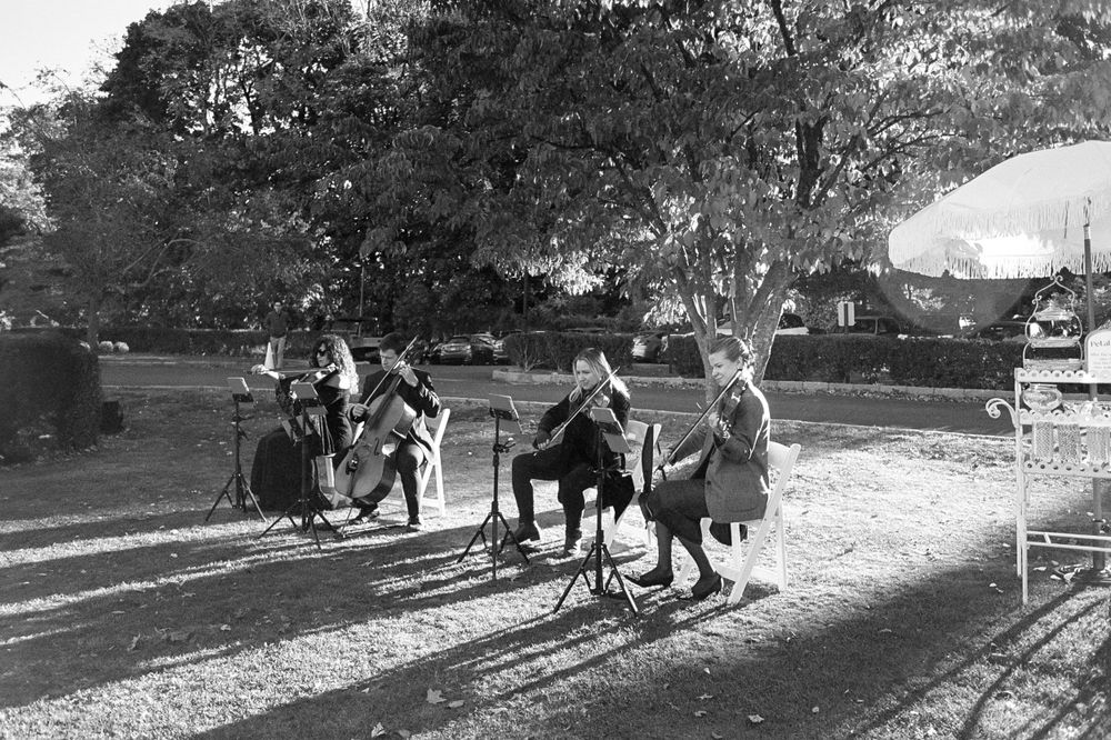 String quartet plays music outdoors casting long shadows at sunset.