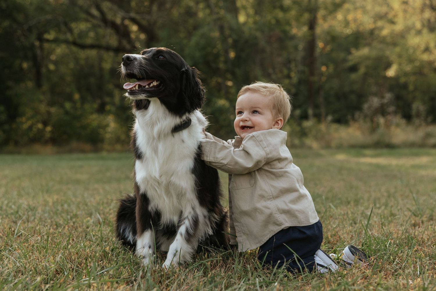 A young child in a beige coat sits next to a Border Collie dog on grass.