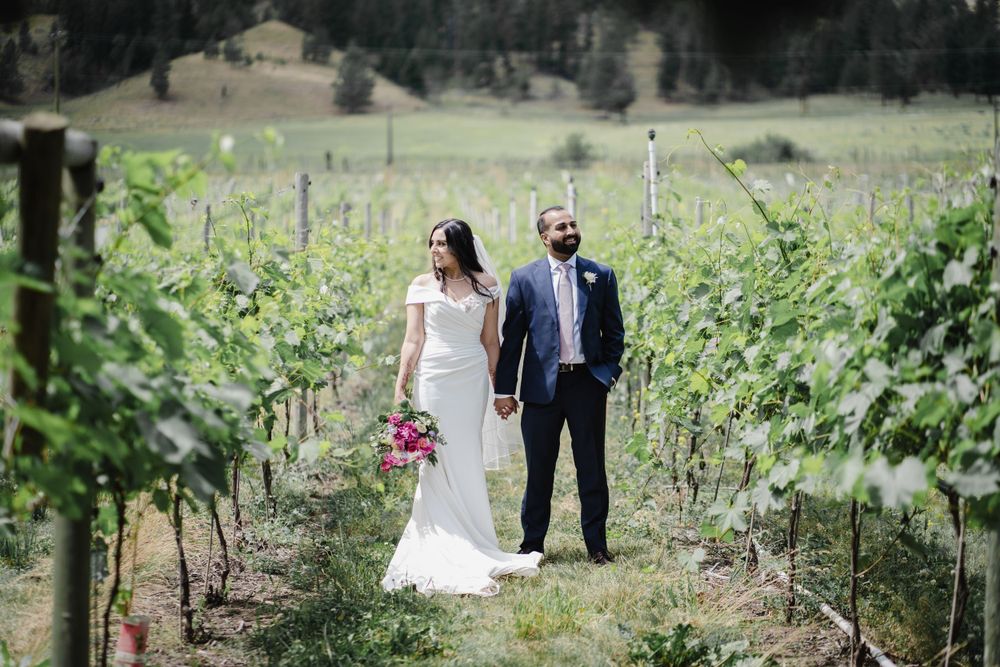 Wedding couple walking through vineyard rows with mountains in background.