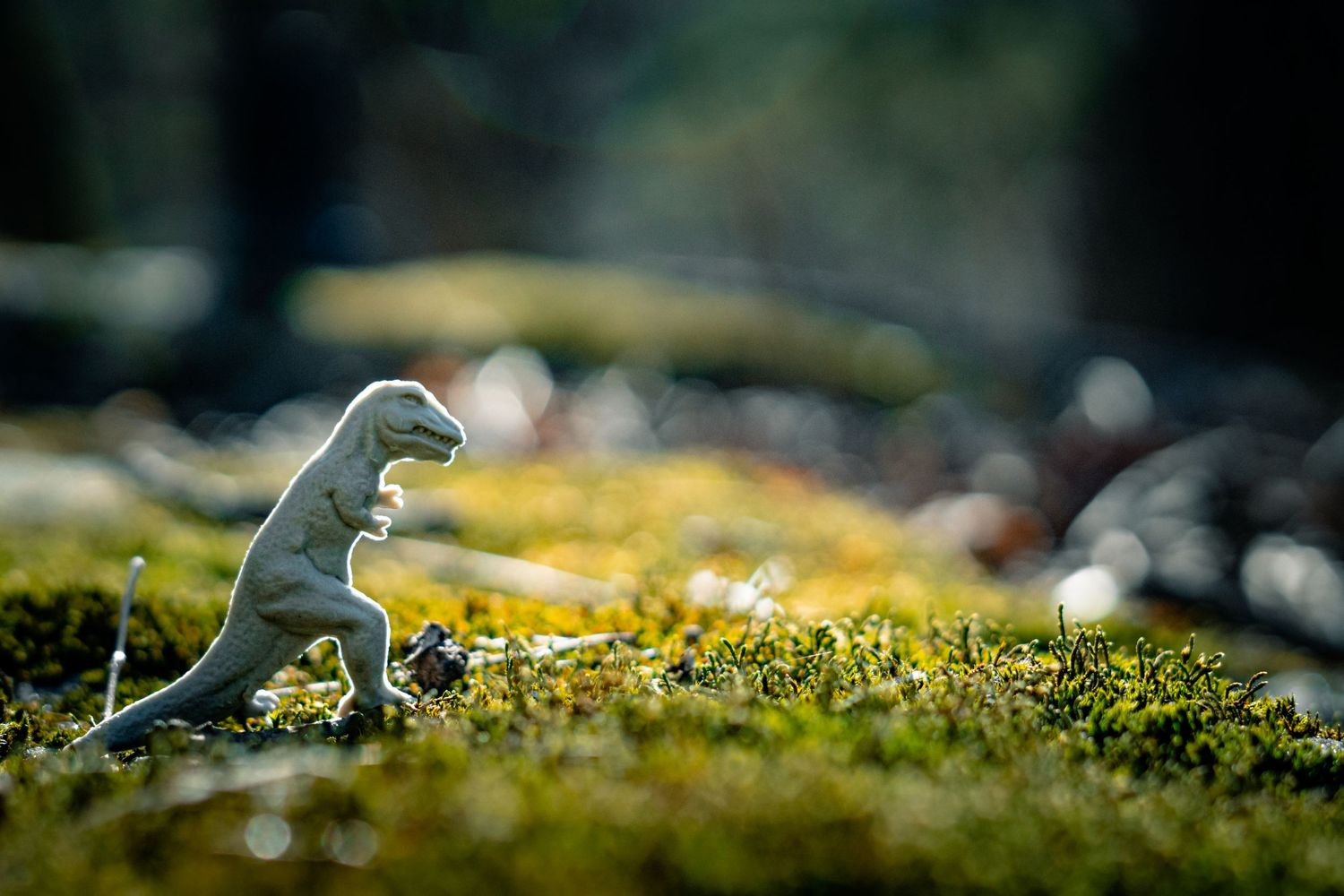 A toy dinosaur figure placed on mossy ground with shallow depth of field creating a miniature scene.