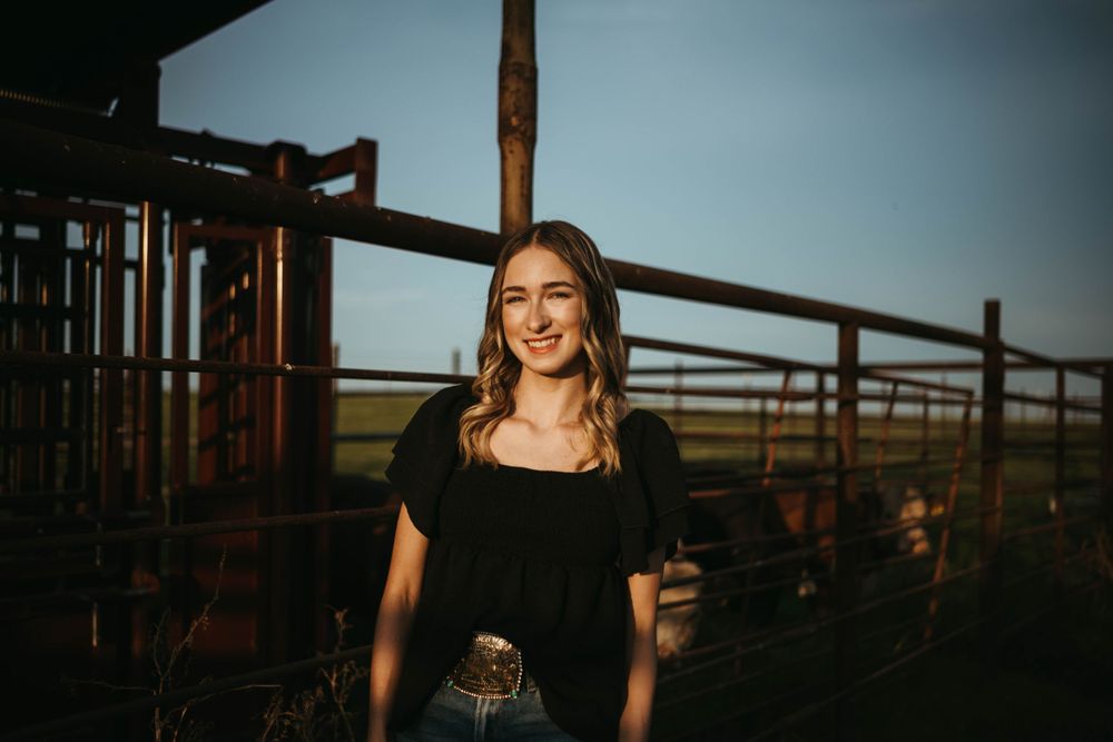 A casual western style scene with metal livestock gates and sunset lighting.