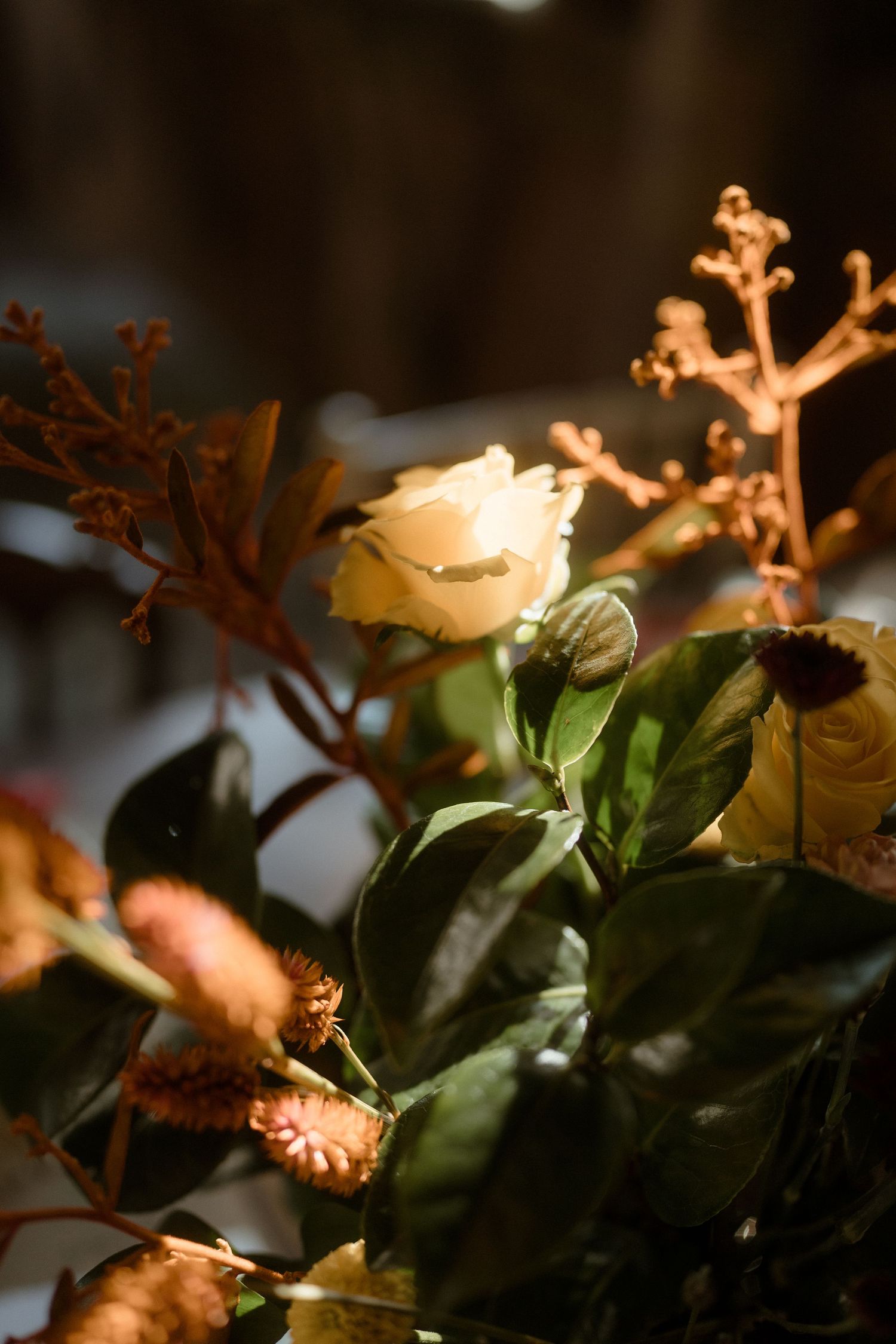 Delicate white rose and dried flowers in warm lighting creating a romantic composition.