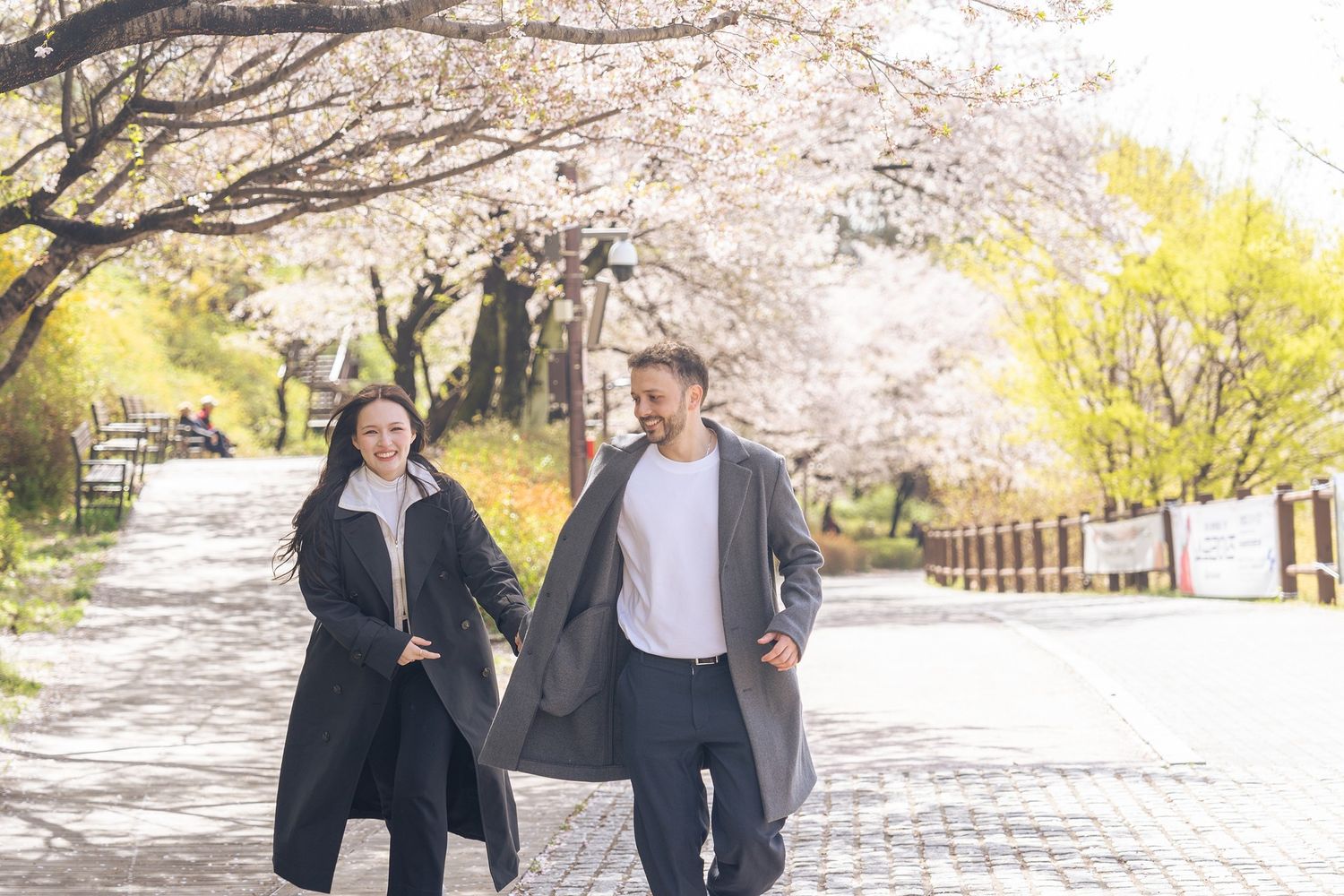 Couple walking together under beautiful blooming cherry blossom trees in a spring garden setting.