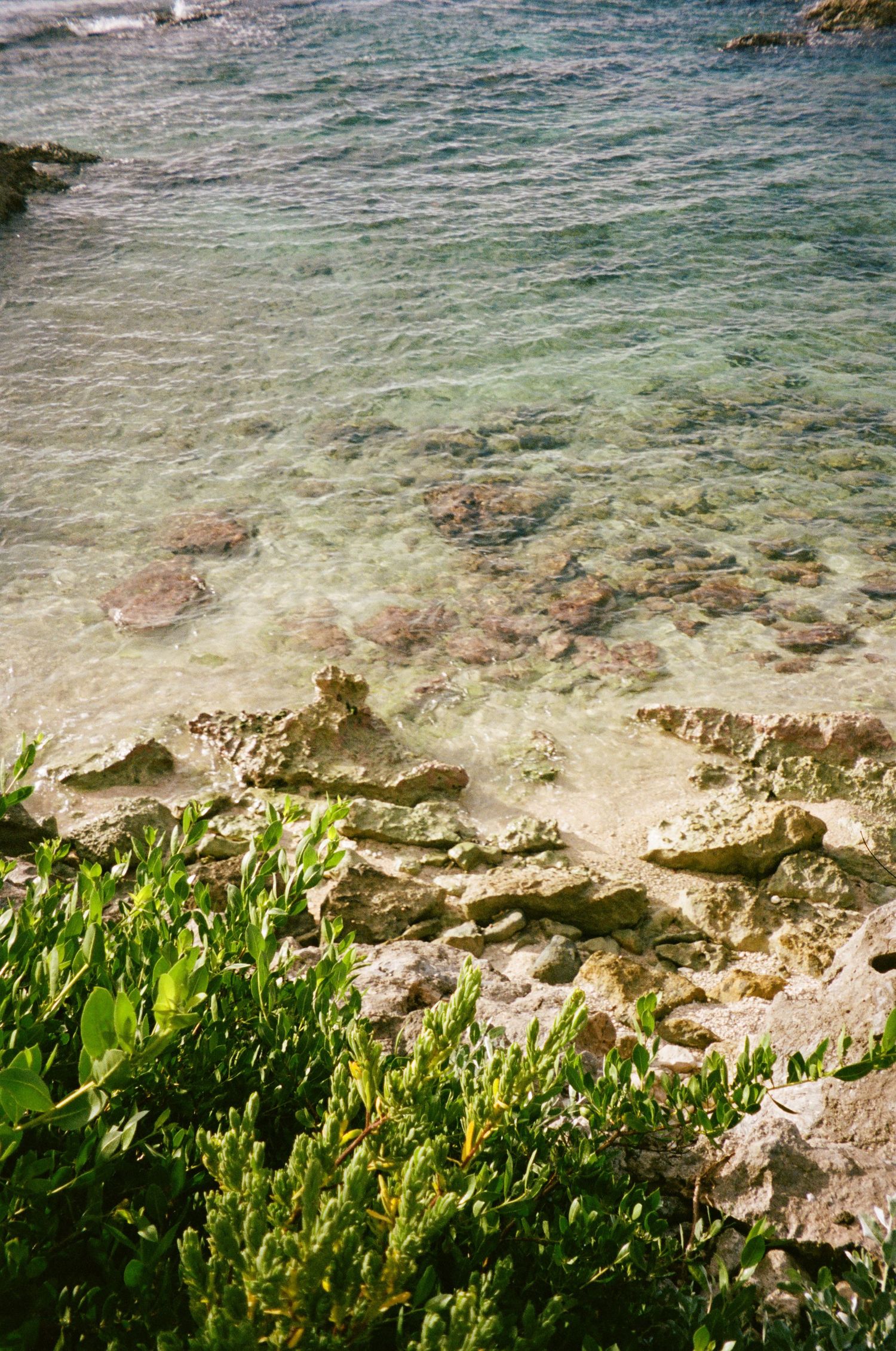 Coastal landscape showing clear turquoise waters and rocky shoreline with green vegetation.