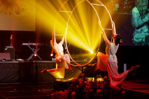 Aerial performers in flowing costumes create dynamic shapes on suspended hoops with golden lighting.