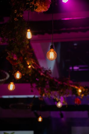 Edison bulbs hanging from the ceiling create warm ambient lighting against a purple-lit backdrop.