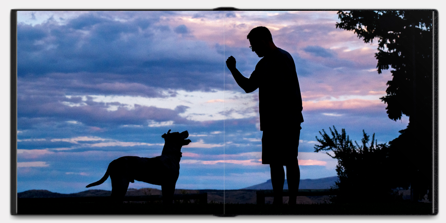 A man and dog in silhouette with an epic sunset behind