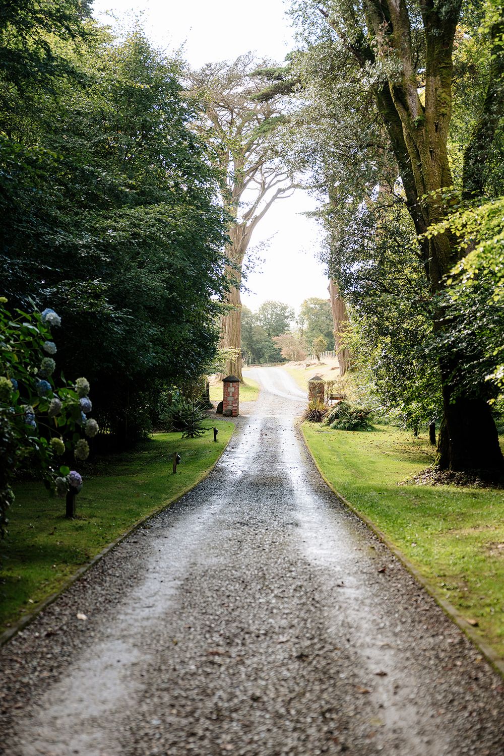 A long gravel path leads through a lush green wooded area with tall trees lining both sides on a misty day.