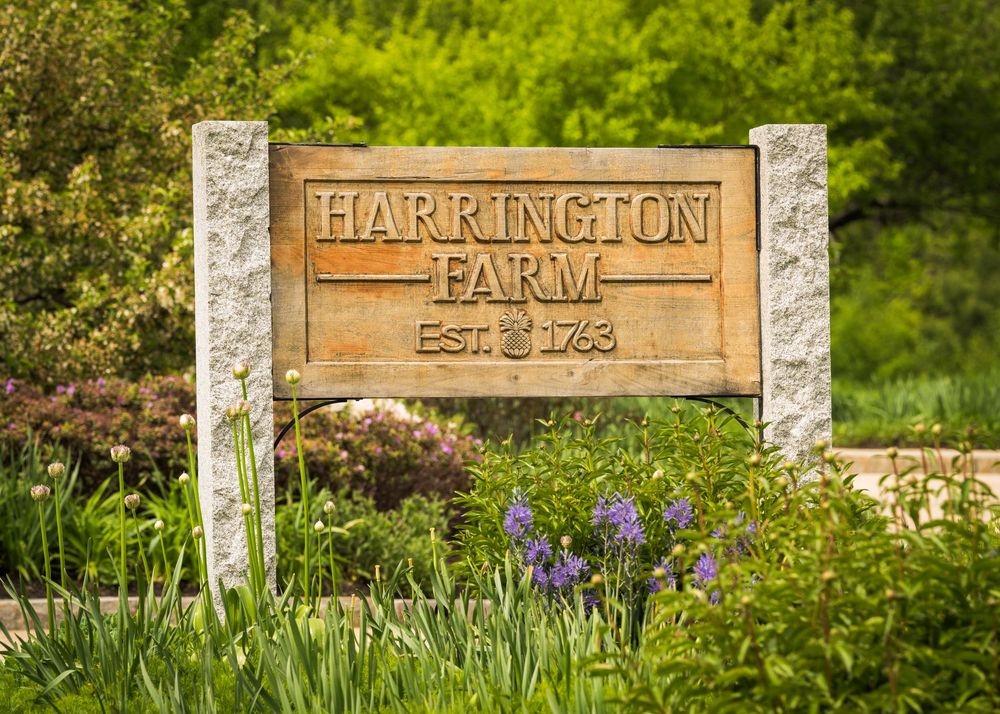 Harrington Farm Est. 1763 entrance sign surrounded by lush green gardens.