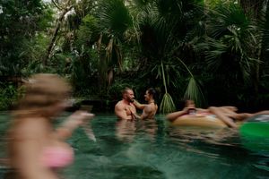 People enjoying a swim in a natural cenote pool surrounded by lush tropical vegetation and palm trees.