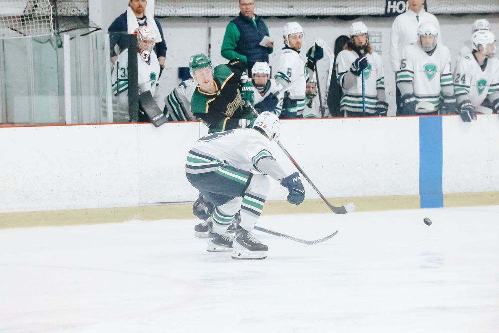 Hockey players in white and green jerseys compete during an ice hockey match on a rink.