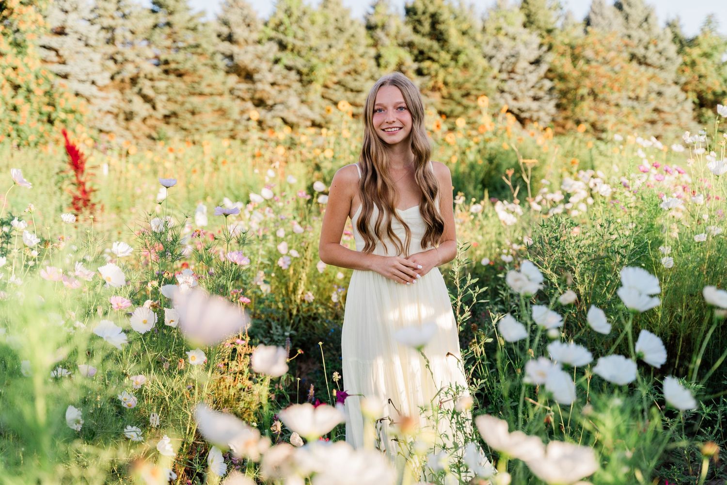 Perrysburg High School senior in a white dress stands in a sunny meadow filled with blooming white wildflowers and tall grass.