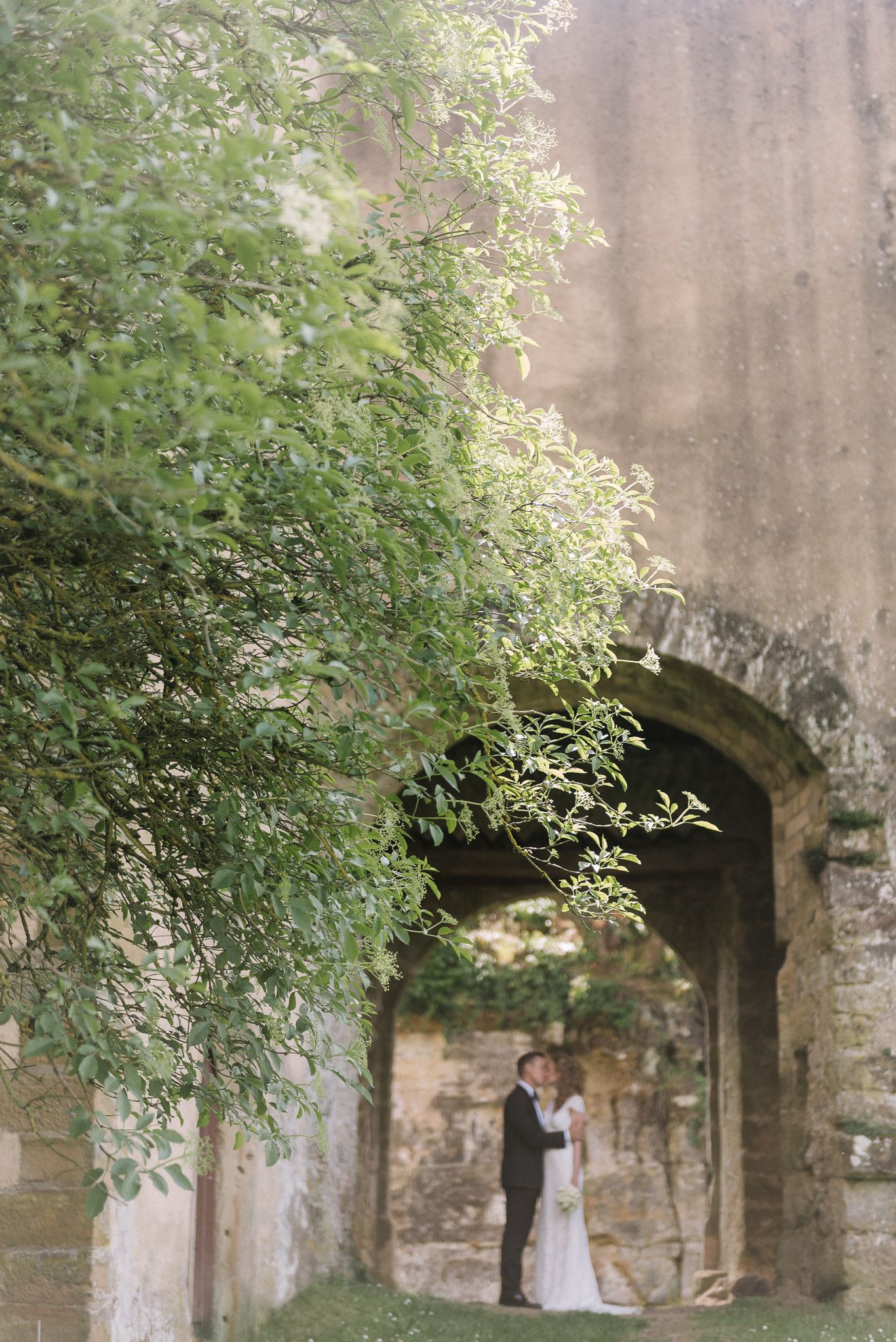 A stone archway with greenery creates a romantic scene in an old castle or garden setting.