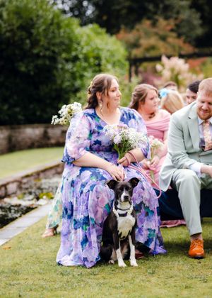 non-traditional wedding photographer in the Lake District - pet watching ceremony