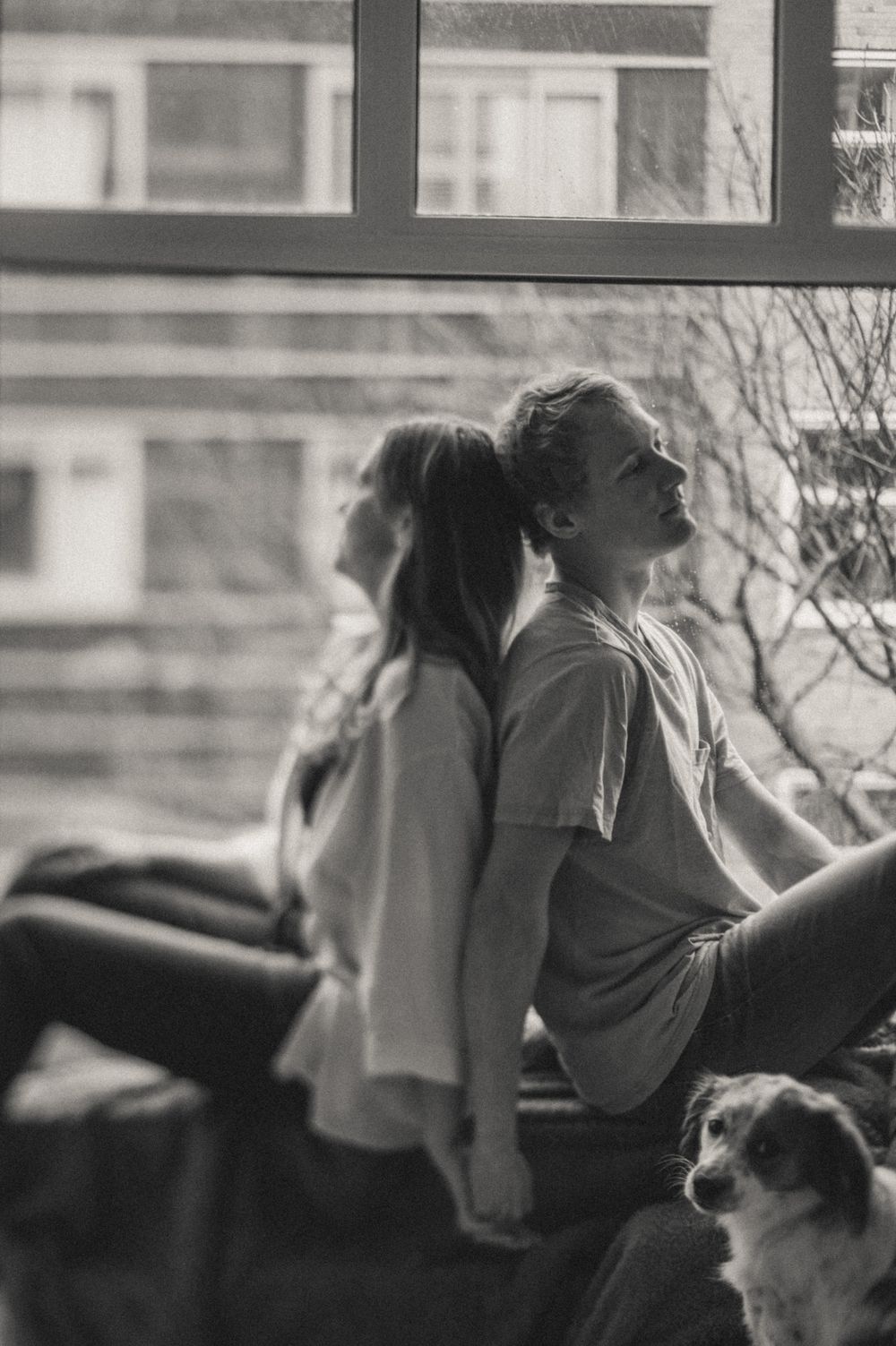 Couple embracing by a window with a small dog visible in the scene.