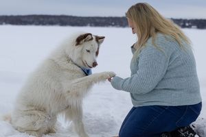 Blonde woman in teal sweater shakes paws with a white Husky dog while kneeling on a frozen lake.