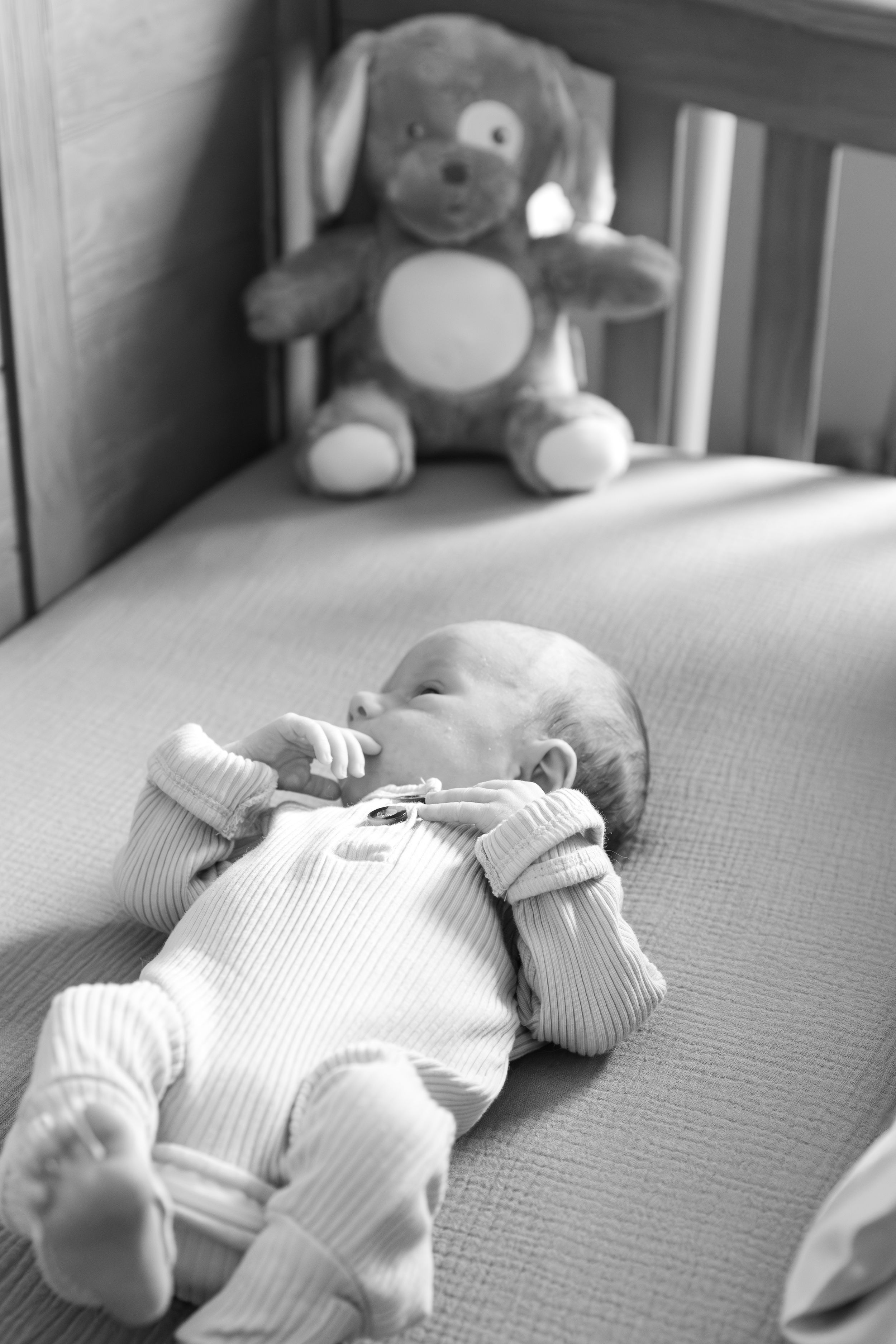 in home newborn photographer in waxahachie