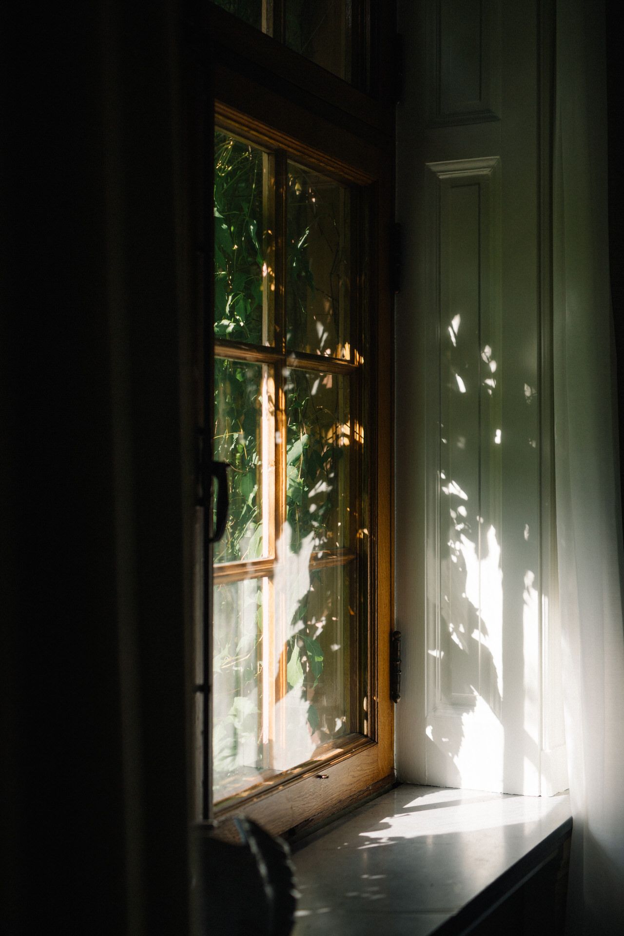 Sunlight streams through a window creating dramatic shadows and light patterns on a dark interior wall.