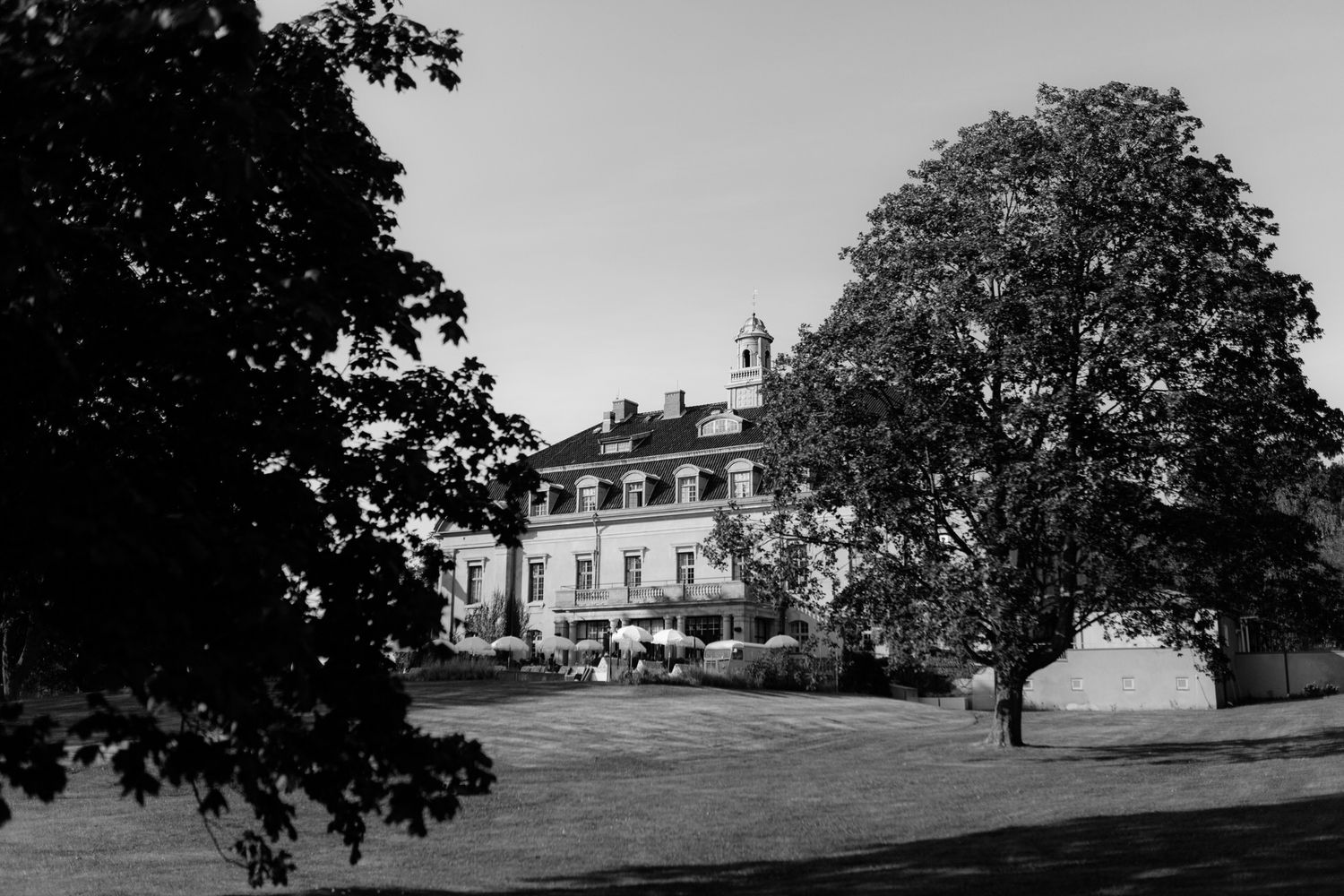 A series of black and white photographs showing historical views of a grand estate with trees and landscaped grounds.