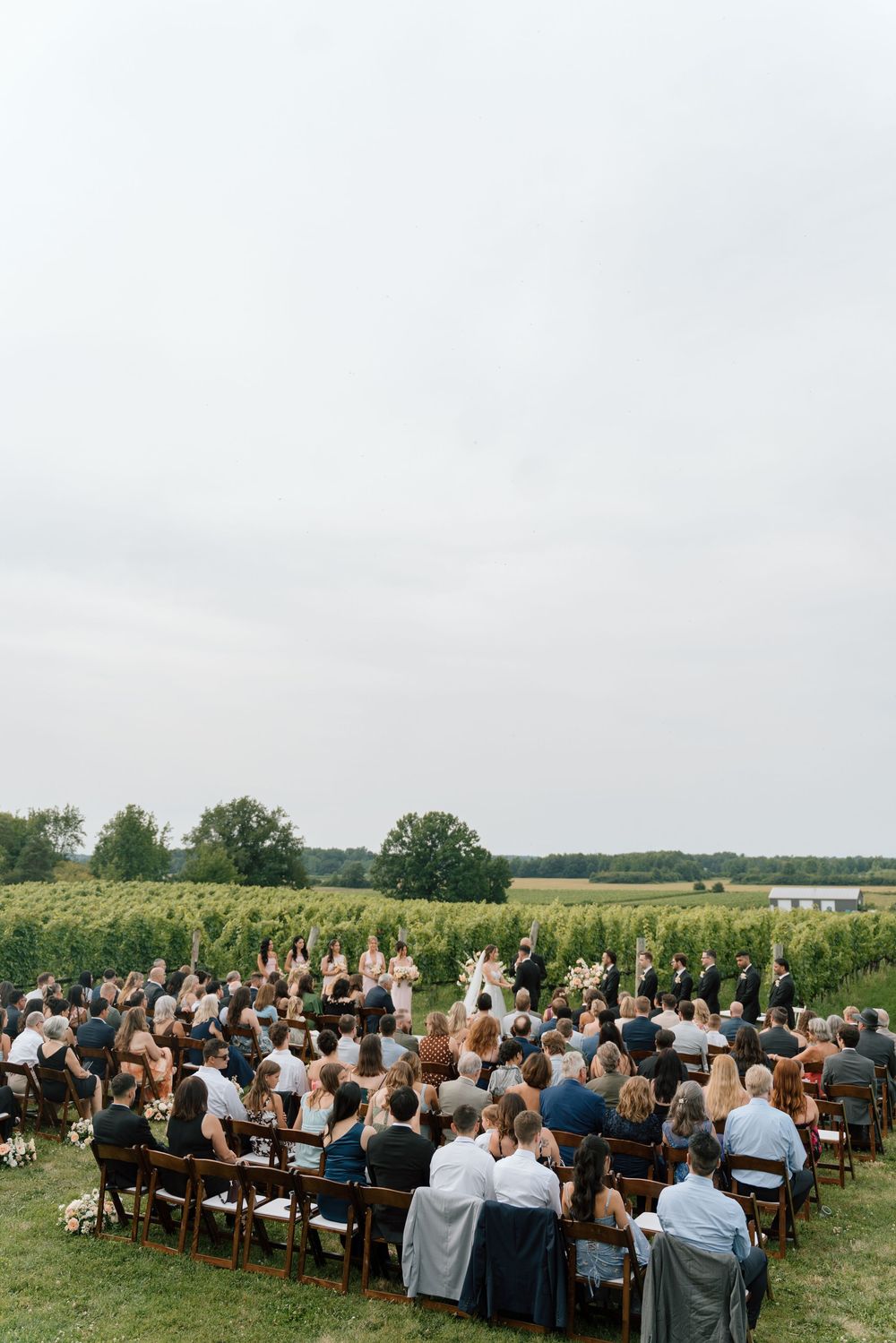 Outdoor wedding ceremony in a vineyard with guests seated in wooden chairs facing the altar.