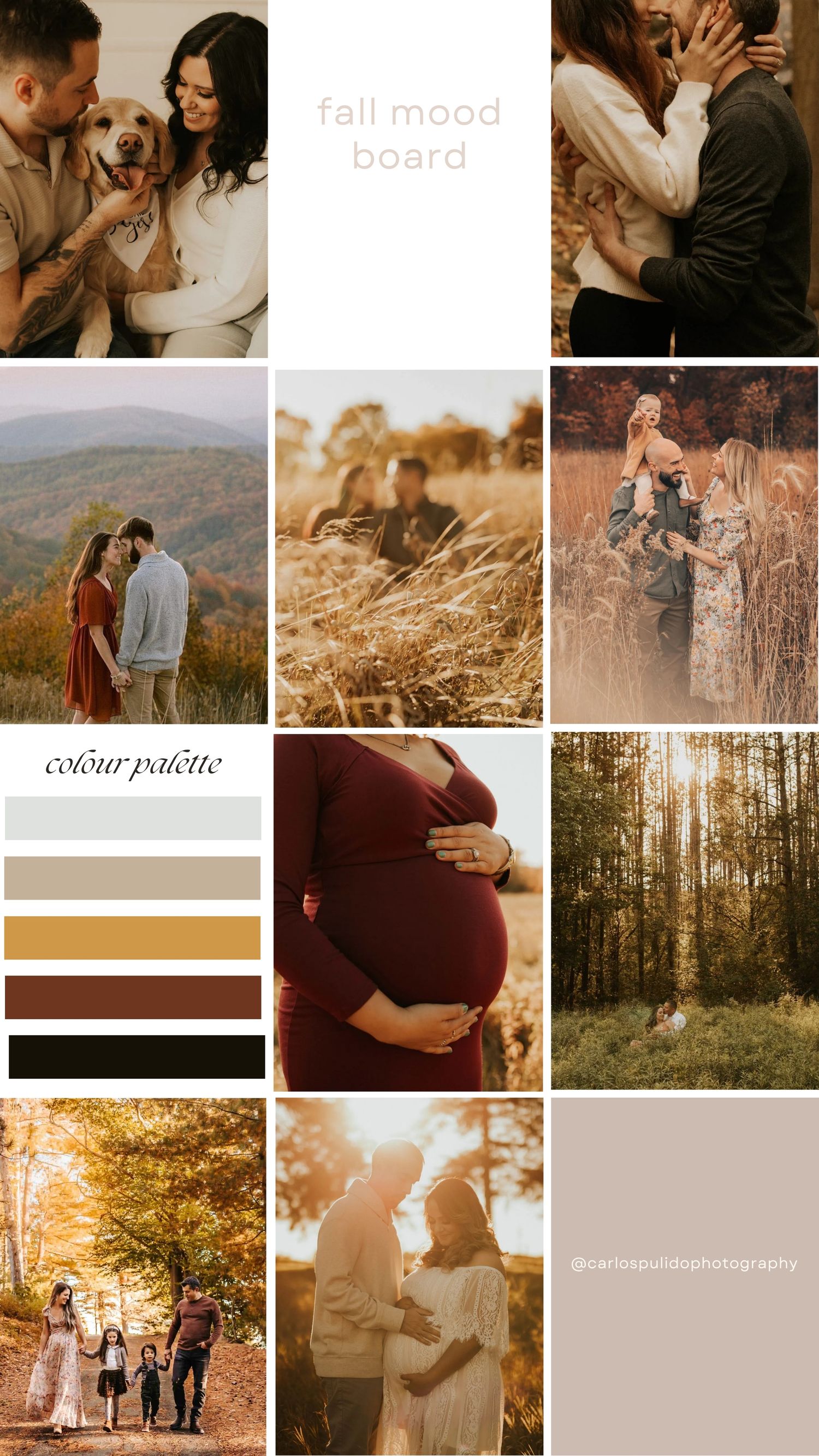 A romantic fall mood board featuring couples in warm autumn settings with earth tones and golden sunlight.