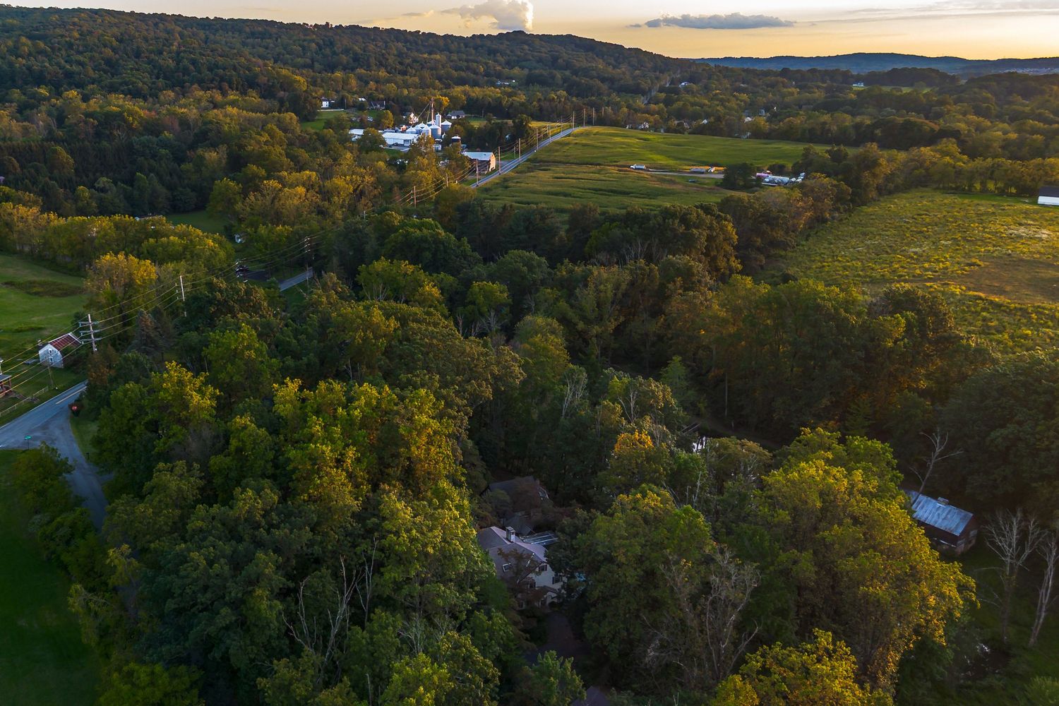 Panoramic drone shot of a residential area nestled among autumn trees at golden hour.