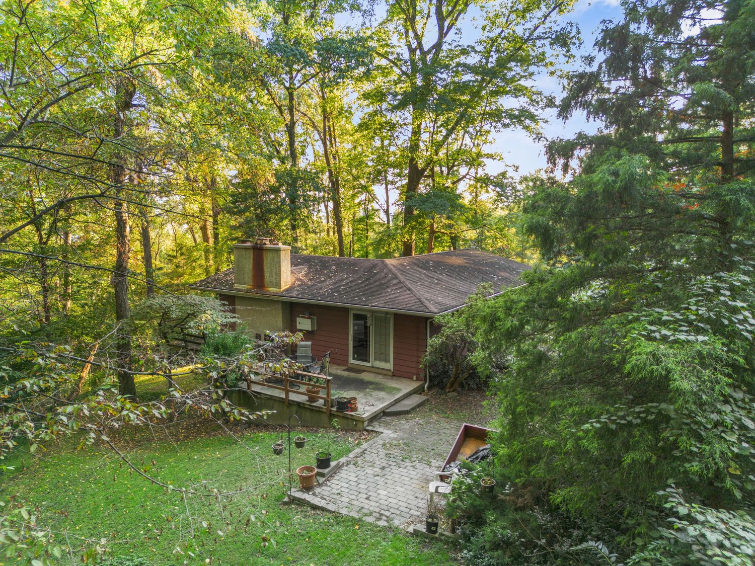 Stone pathway winding through lush green woodland setting with mature trees.