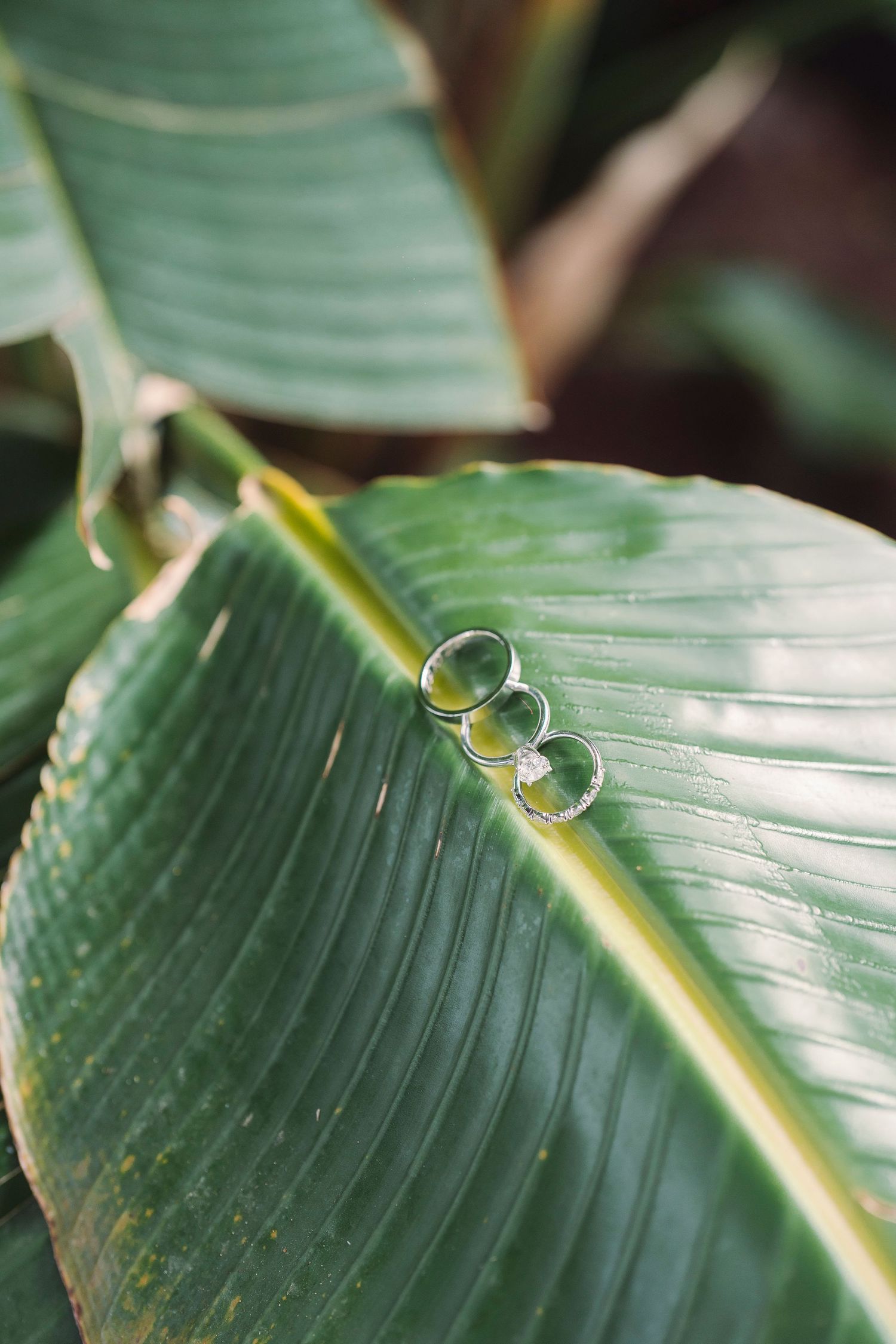 Close-up sequence of water droplets merging together on a green banana leaf surface in macro photography.