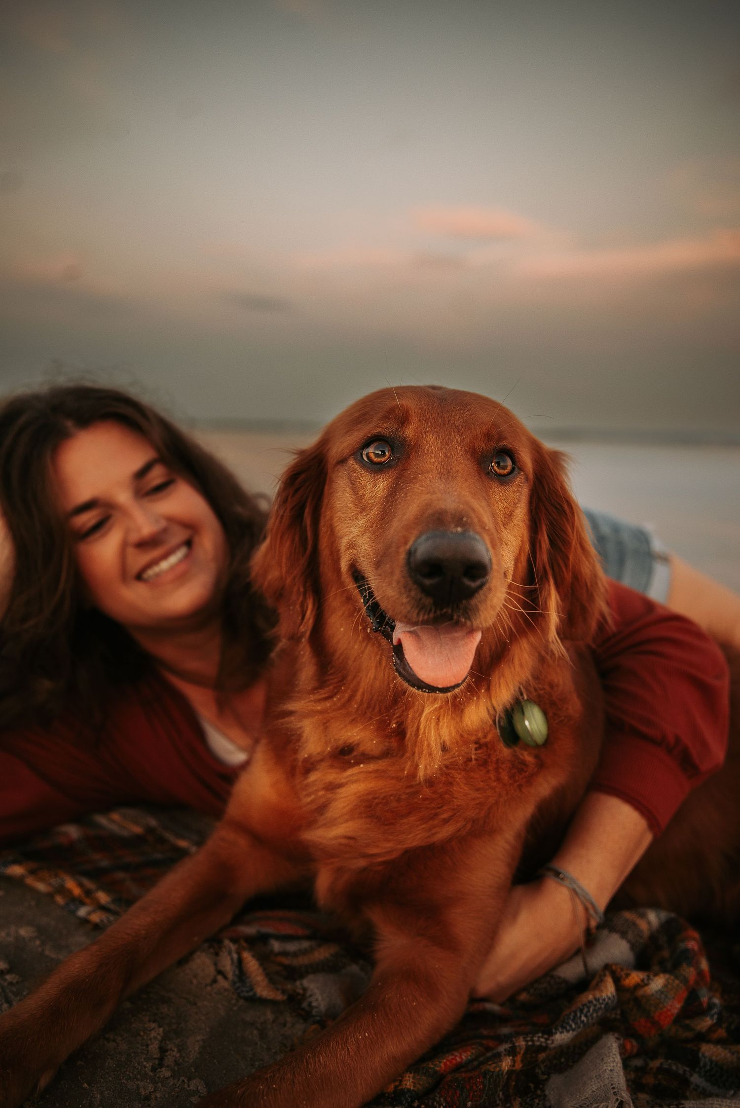 Golden retriever dog laying on blanket with warm sunset lighting in background during outdoor photoshoot.