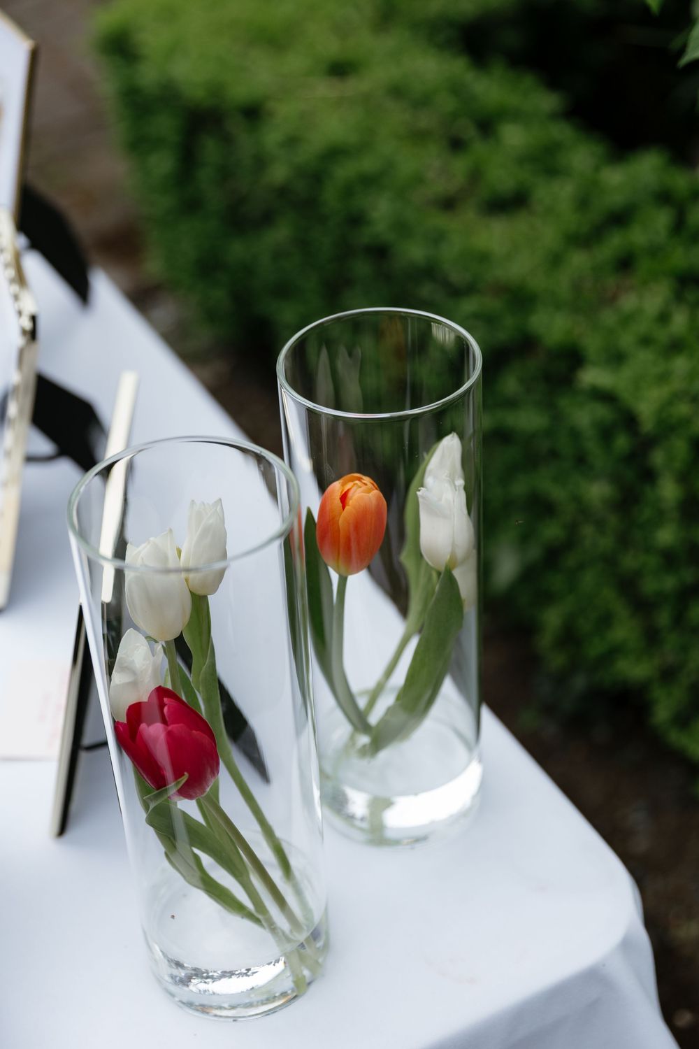 Clear glass vases display colorful tulips against a white surface.