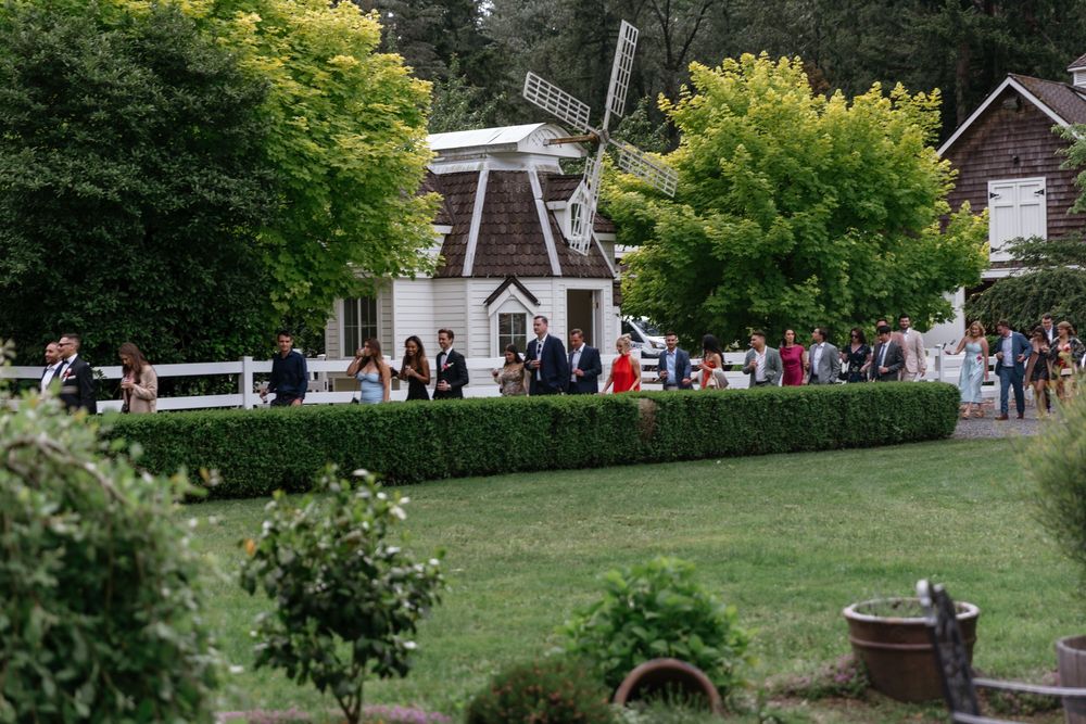 People enjoy a sunny day on a grassy hill at an outdoor event with trees in the background.