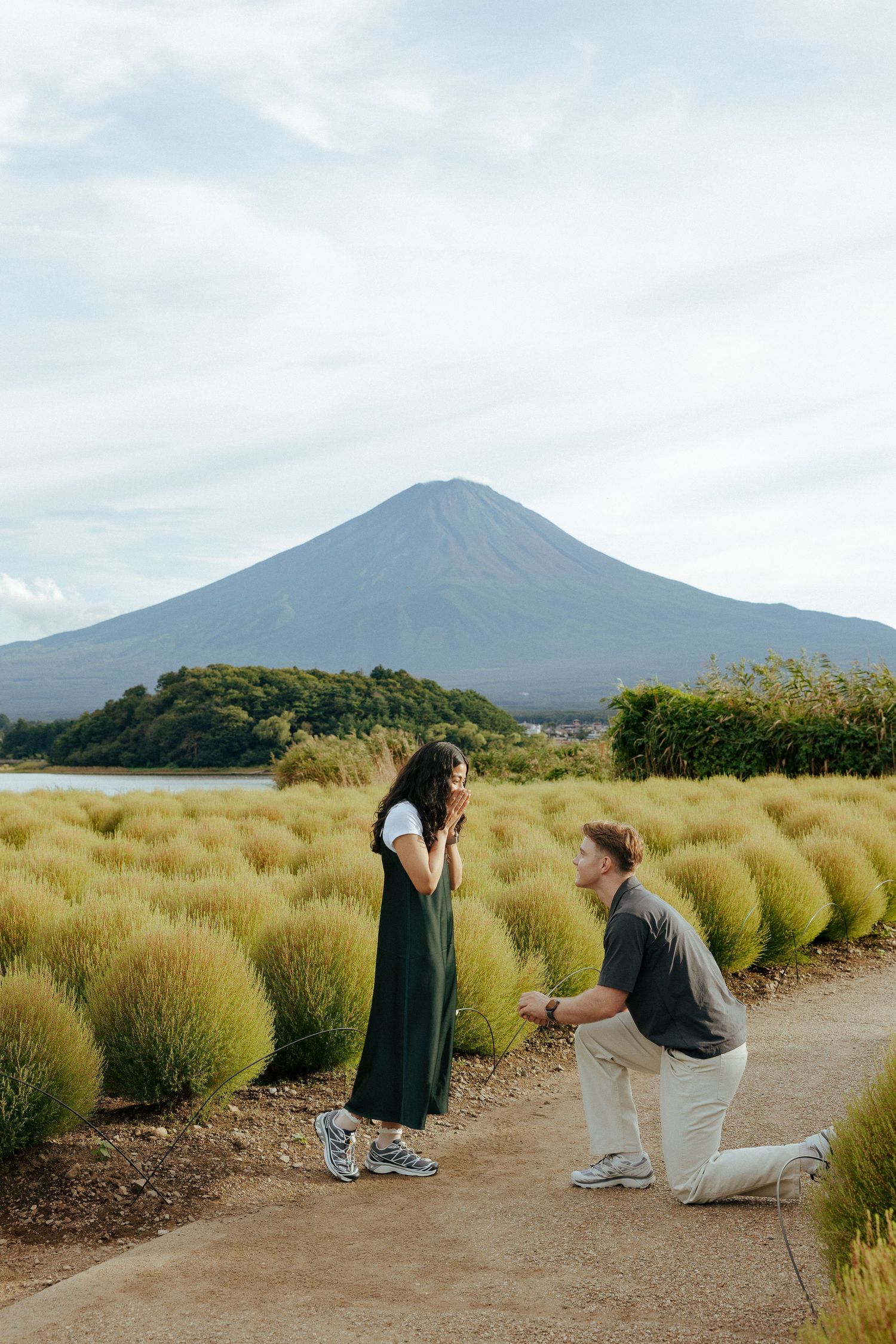 A romantic proposal moment on a path with Mount Fuji rising majestically in the background and ornamental grasses along the sides.