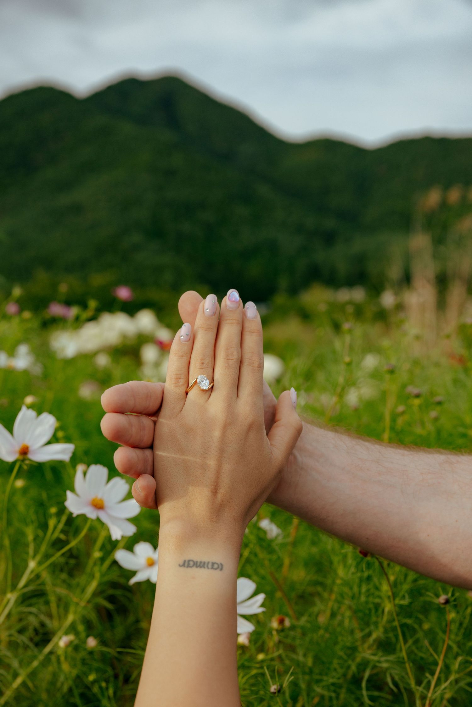 Hands reaching out to hold each other during engagement at Mount Fuji with white cosmos flowers with green mountains in the background