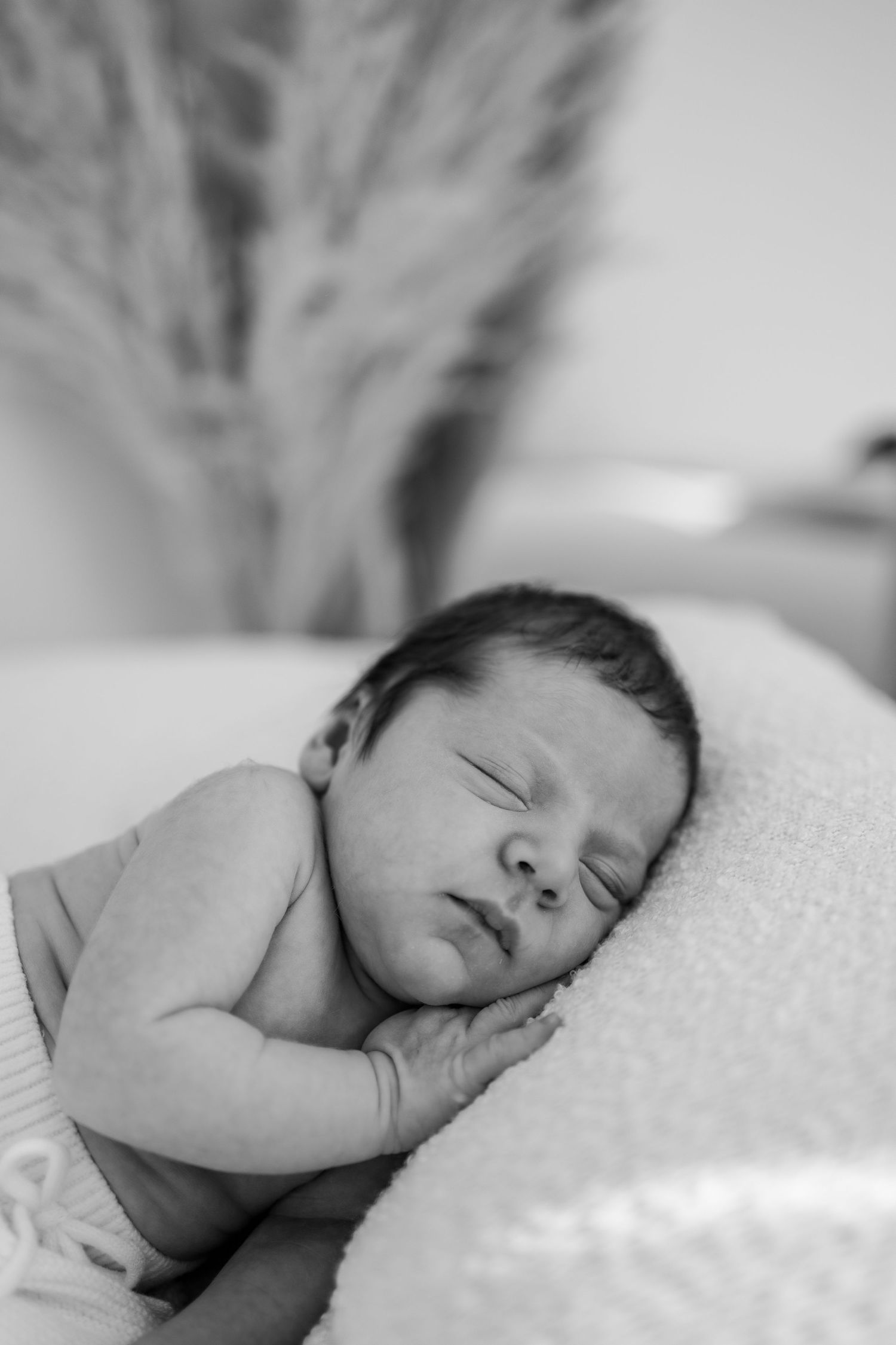 A peaceful black and white photo series showing a sleeping baby resting on soft white bedding.