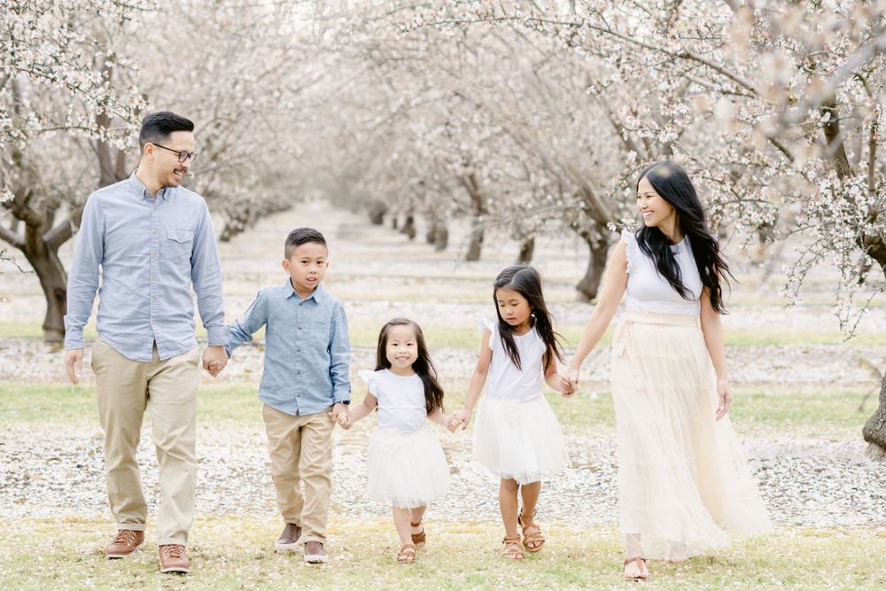 A happy family walking hand in hand through a cherry blossom orchard on a spring day.