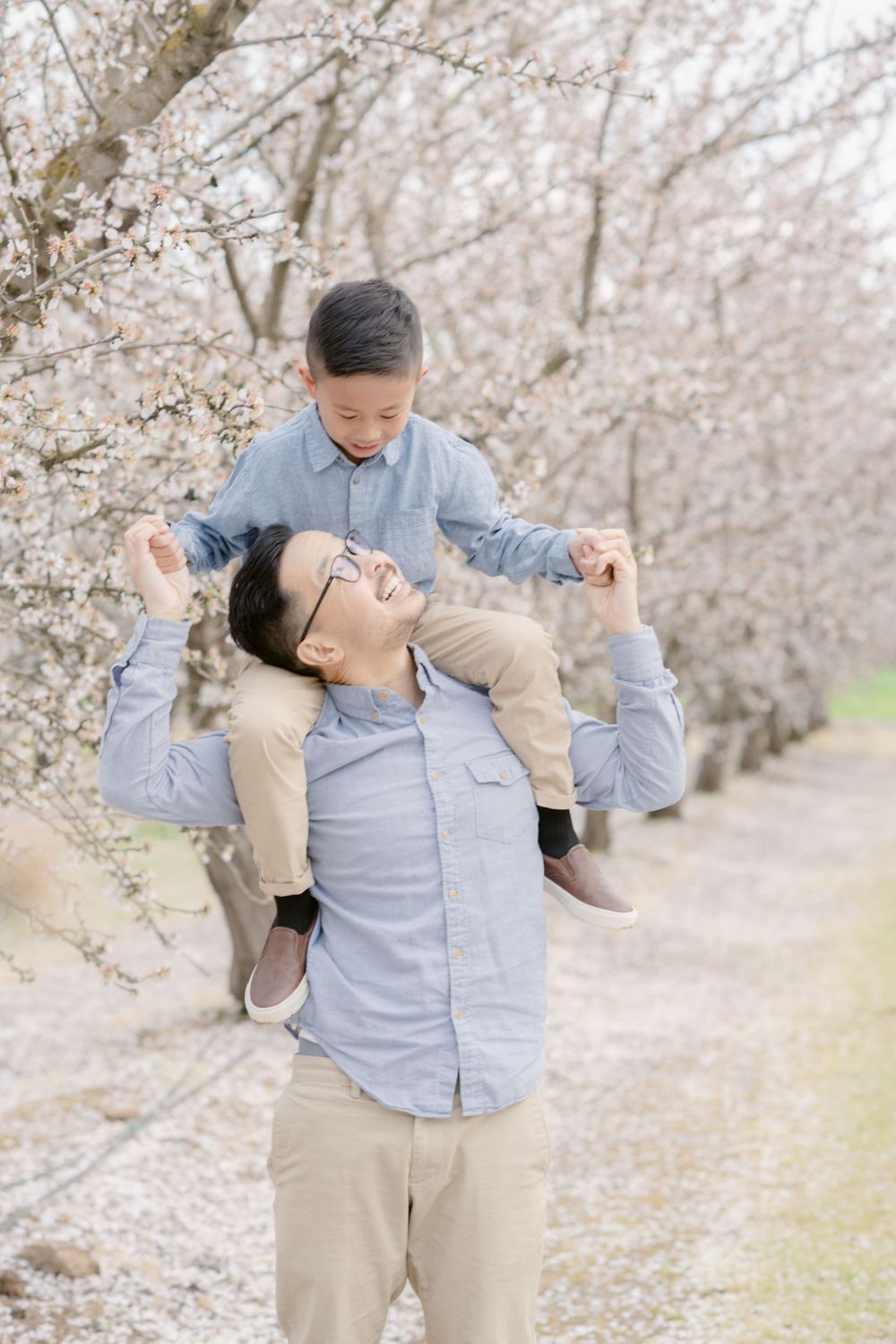 A playful moment with someone carrying a child on their shoulders beneath cherry blossoms.